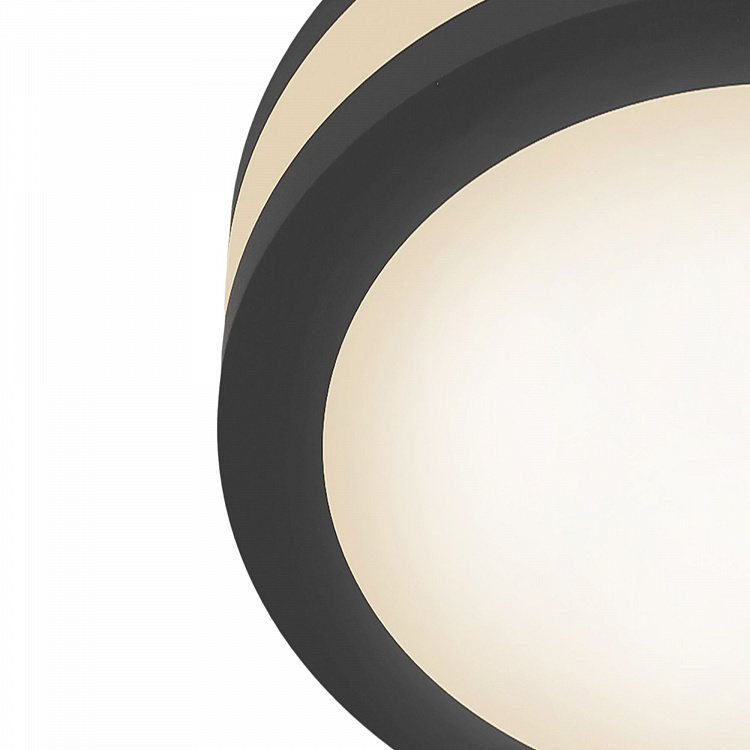 Maytoni Technical Downlight Phanton DL303-L12B