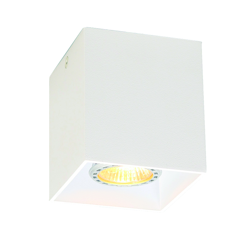 Лампа за таван