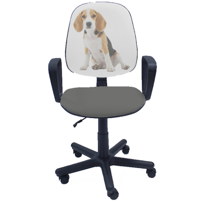 Офис Стол -  Antara Dog Color