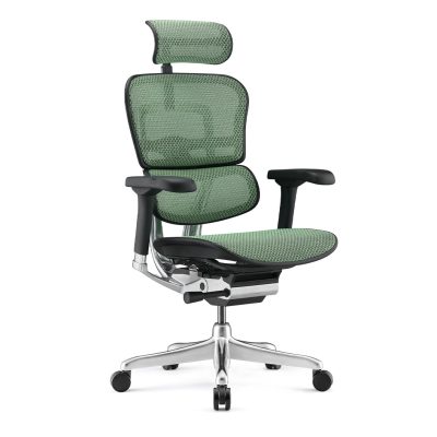 Ергономичен стол Antares ERGOHUMAN 2 LUXURY