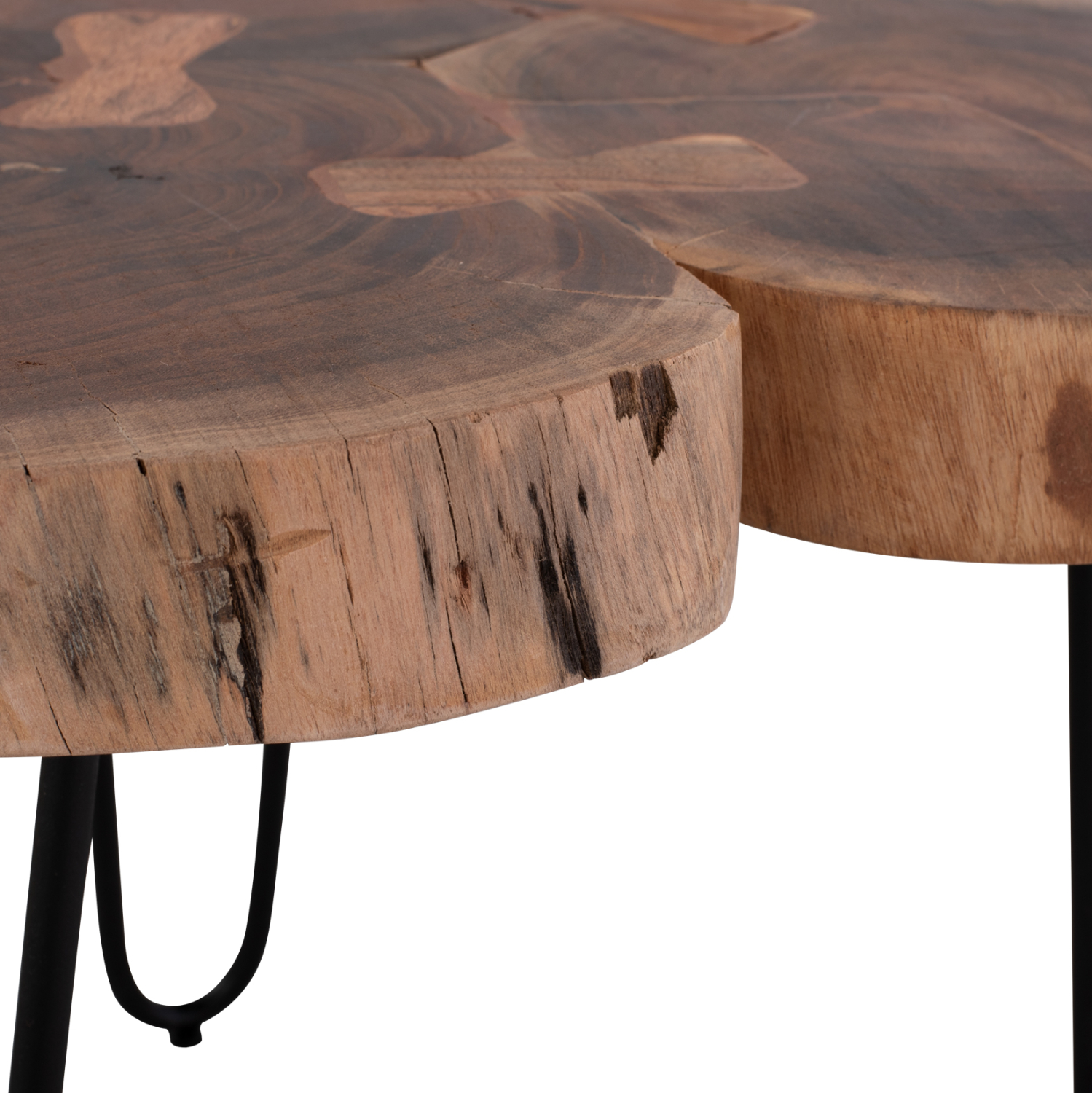 Холна маса акация