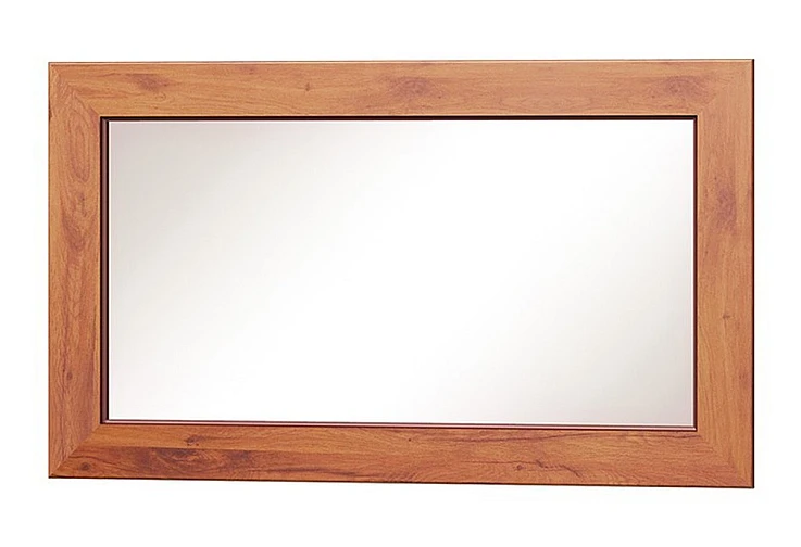 stenno-ogledalo-tadeusz-t-17-stoleten-dab-23212008-1200×820