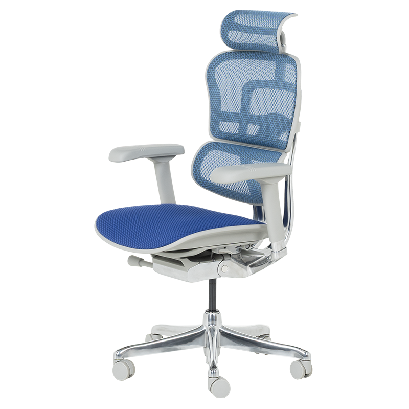 Ергономичен стол ERGOHUMAN ELITE 2 – сива рамка – син