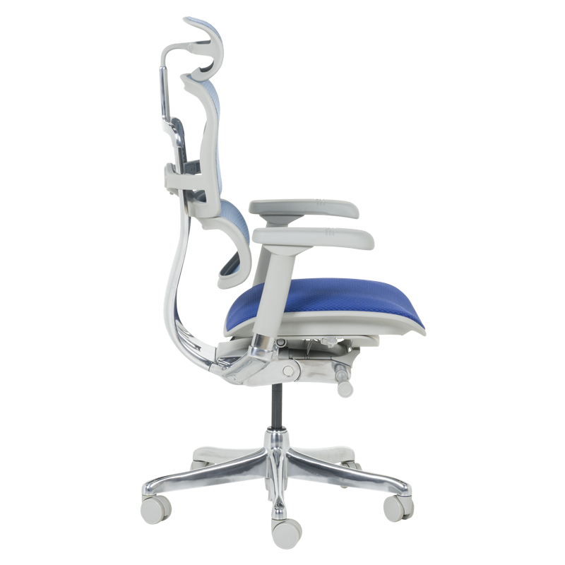 Ергономичен стол ERGOHUMAN ELITE 2 – сива рамка – син