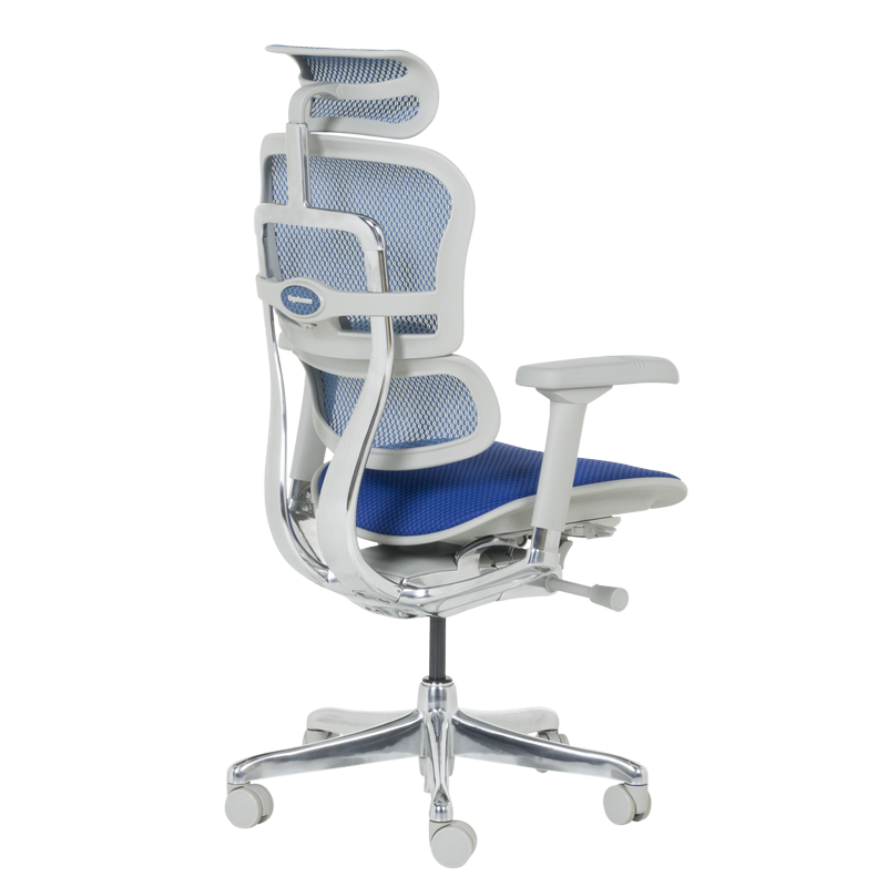 Ергономичен стол ERGOHUMAN ELITE 2 – сива рамка – син