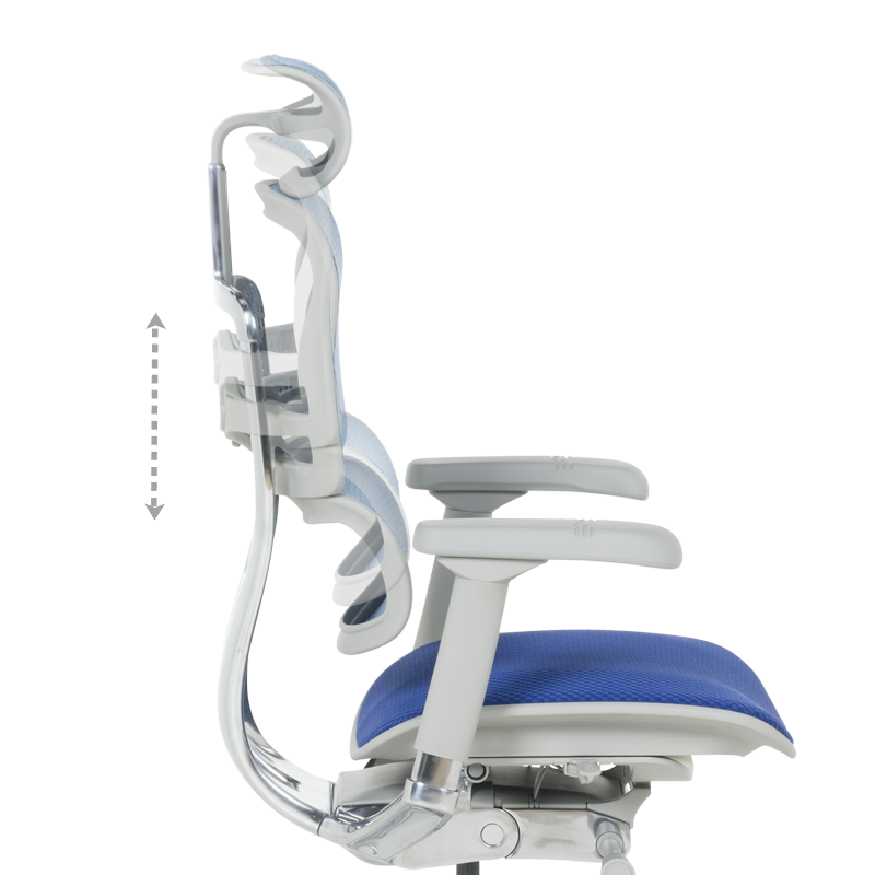 Ергономичен стол ERGOHUMAN ELITE 2 – сива рамка – син