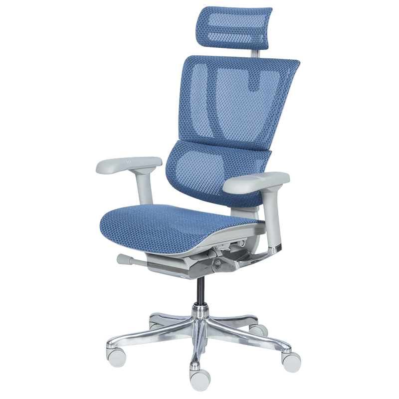 Ергономичен стол ERGOHUMAN IOO ELITE 2 – сива рамка – син