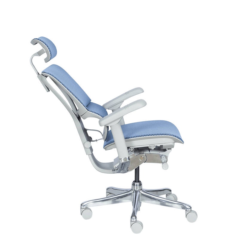 Ергономичен стол ERGOHUMAN IOO ELITE 2 – сива рамка – син