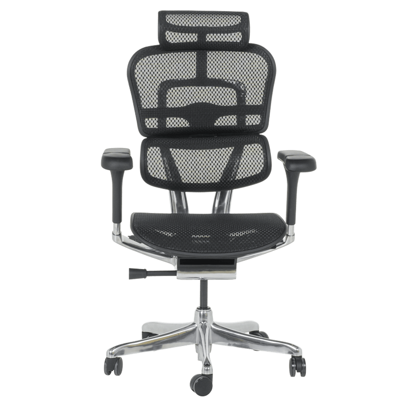 Ергономичен стол ERGOHUMAN ELITE 2 – черна рамка – черен