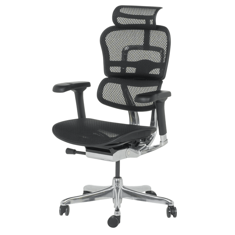 Ергономичен стол ERGOHUMAN ELITE 2 – черна рамка – черен