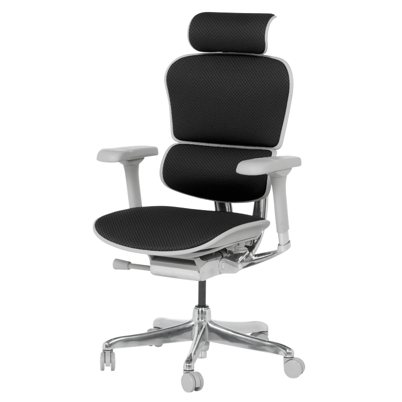 Ергономичен стол ERGOHUMAN ELITE 2 – сива рамка – черен