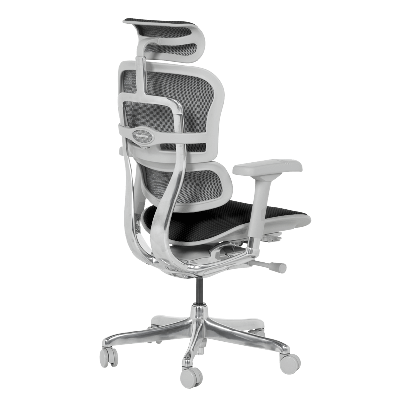 Ергономичен стол ERGOHUMAN ELITE 2 – сива рамка – черен