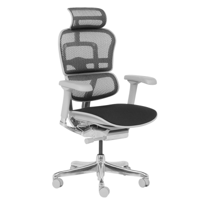 Ергономичен стол ERGOHUMAN ELITE 2 - сива рамка - черен