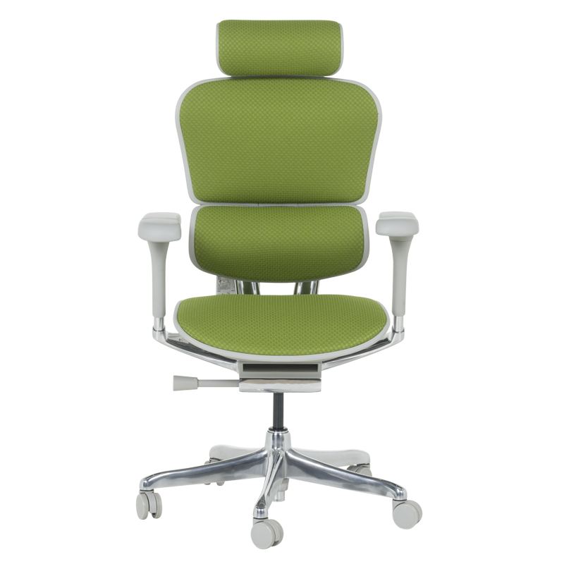 Ергономичен стол ERGOHUMAN ELITE 2 – сива рамка – зелен